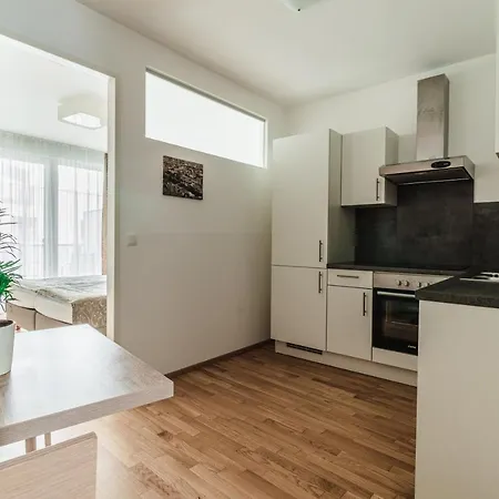 Appartement Schweitzer Center *