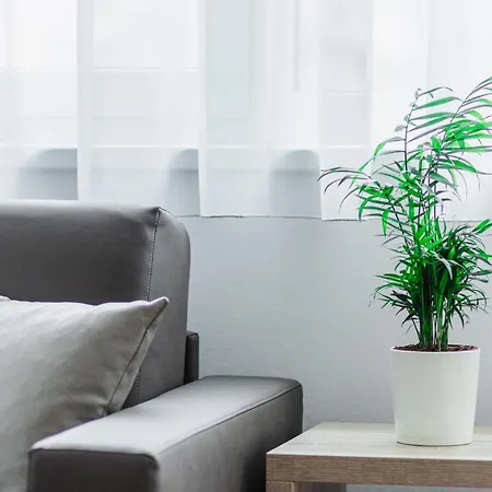 Schweitzer Center Appartement Graz