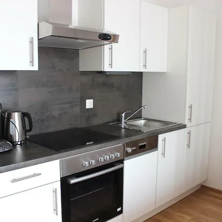 Apartman Schweitzer Center