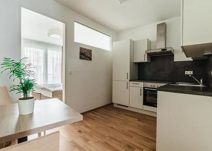 Appartement Schweitzer Center *