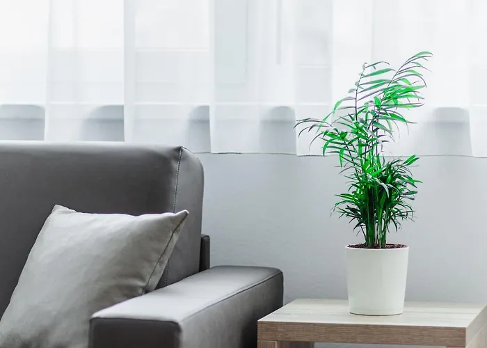 Schweitzer Center Appartement Graz